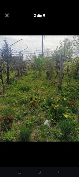 Casă cu 2 camere în Dumbrăvești