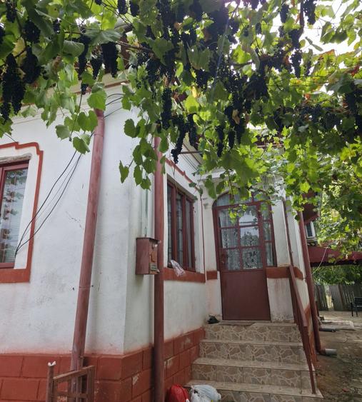 Casă cu 3 camere în Popoveni