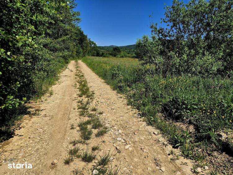 823 mp teren extravilan, ideal rulota/cabana weekend - 4
