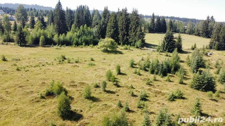Teren de 5000 mp, în Cozănești