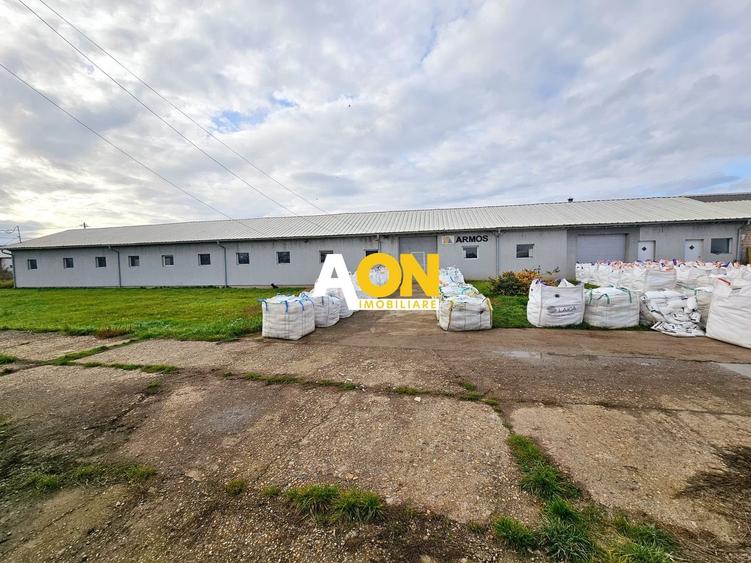 Spațiu industrial, de 550 mp, în Lunca Mureșului
