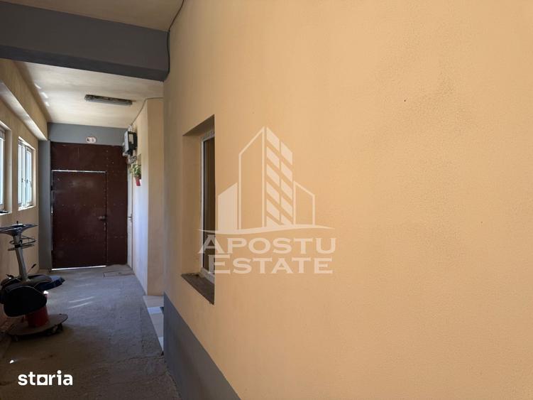 Casă cu 7 camere cu Teren 360 Mp în Buziașului