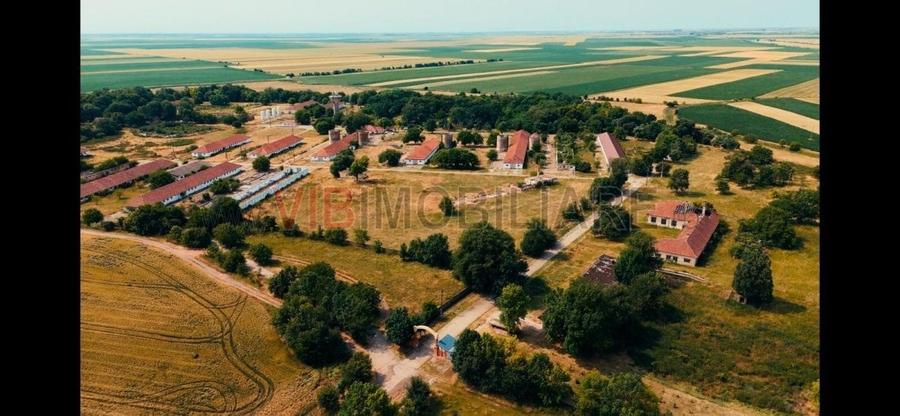 Ferma complet utilată – 30 ha teren comasat cu 11.500mp grajduri renovate Timiș - 14
