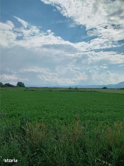 Teren de 2000 mp, în Stupini