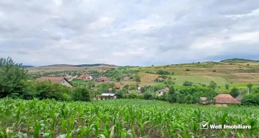 Casă cu Teren 7000 Mp în Cămărașu