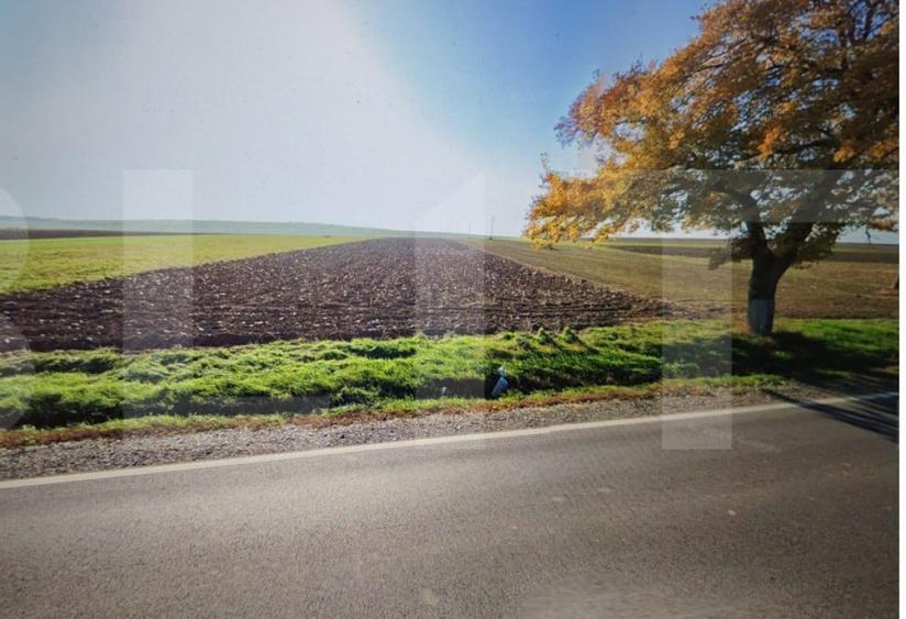 Teren de 20300 mp, în Brăești