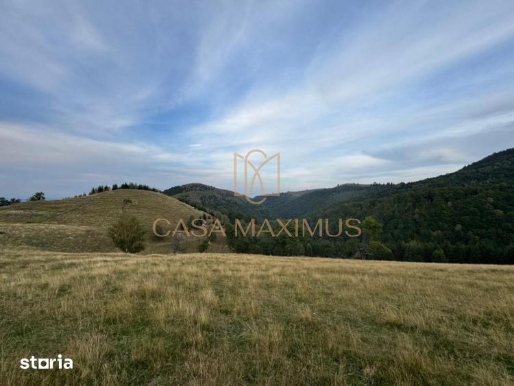 Teren de 14526 mp, în Gura Râului