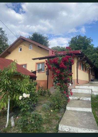 Casa de vanzare ( Seciu ) - 6