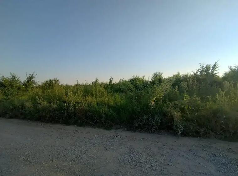 Teren intravilan de 2200 mp, în Sisești