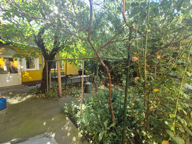 Casă individuală cu 6 camere cu Canalizare în Rahova