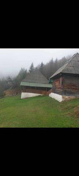 Teren de 60000 mp, în Vadu Moților