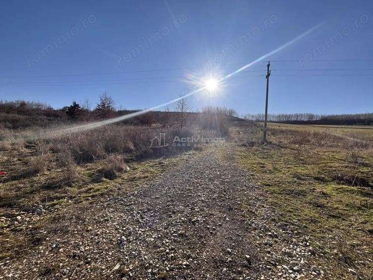 Teren de 7744 mp, în Cordău