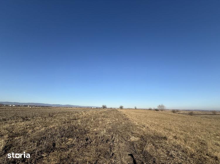 Teren de 2300 mp, în Central