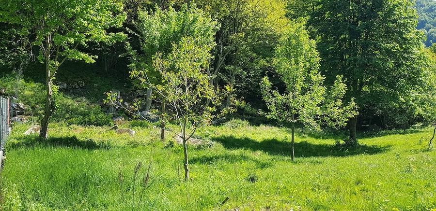 Teren de 678 mp, în Râu de Mori