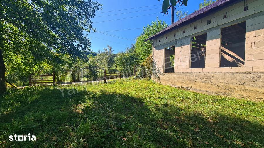 Casă cu 3 camere cu Teren 4391 Mp în Valea Danului