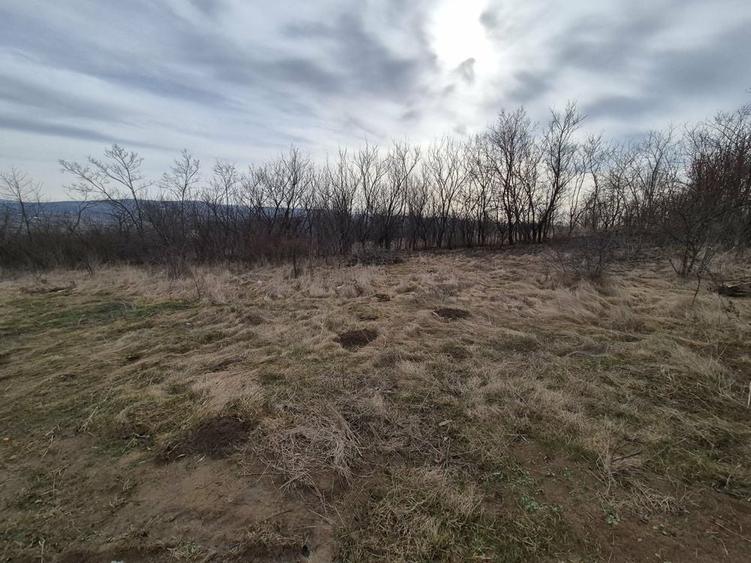 Teren de 493 mp, în Ciurea
