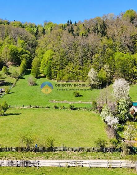 Teren intravilan de 1000 mp, în Cuejdiu