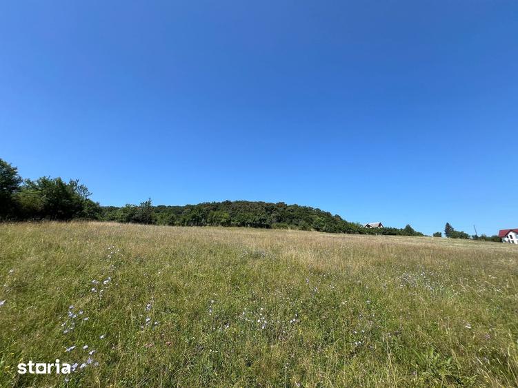 Teren de 6000 mp, în Nord