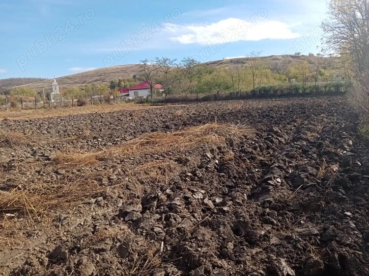 Teren de 1578 mp, în Central