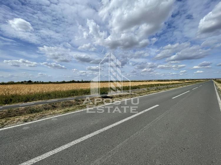 Teren agricol extravilan de 55000 mp, în Ianova