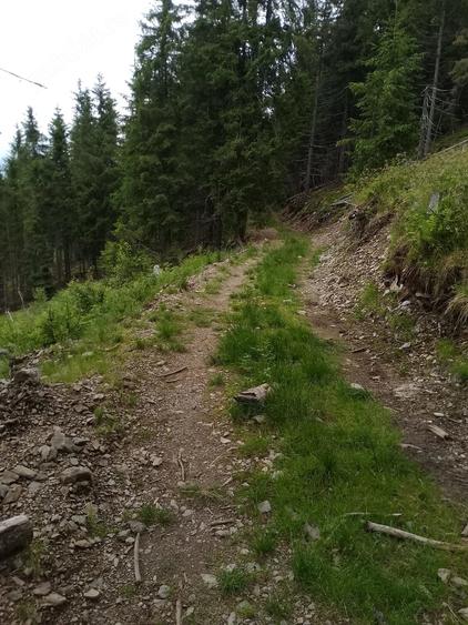 Teren de 25000 mp, în Central