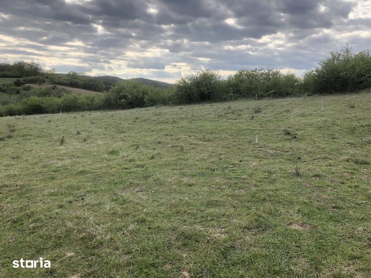 Teren intravilan pentru casa 500mp vedere panoramica Aleea Trifoiului - 1
