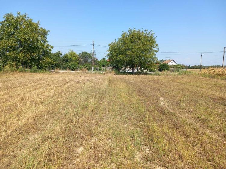 Teren de 5013 mp, în Bratia din Deal