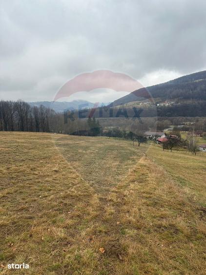 Teren de 7135 mp, în Negreni