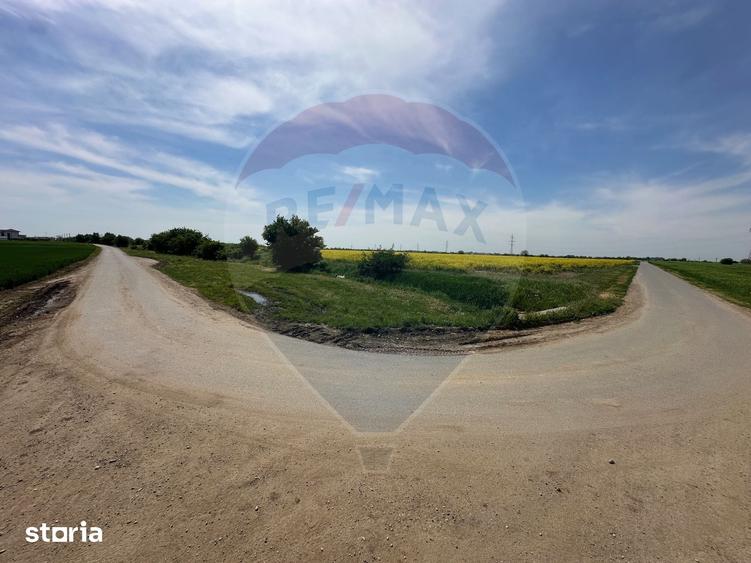 Teren de 545000 mp, în Dragomirești-Vale