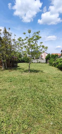 Teren de 600 mp, în Dumbrăvița