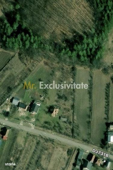 Teren 4226 mp si casa de renovat in loc. Babana, jud. Arges - 3