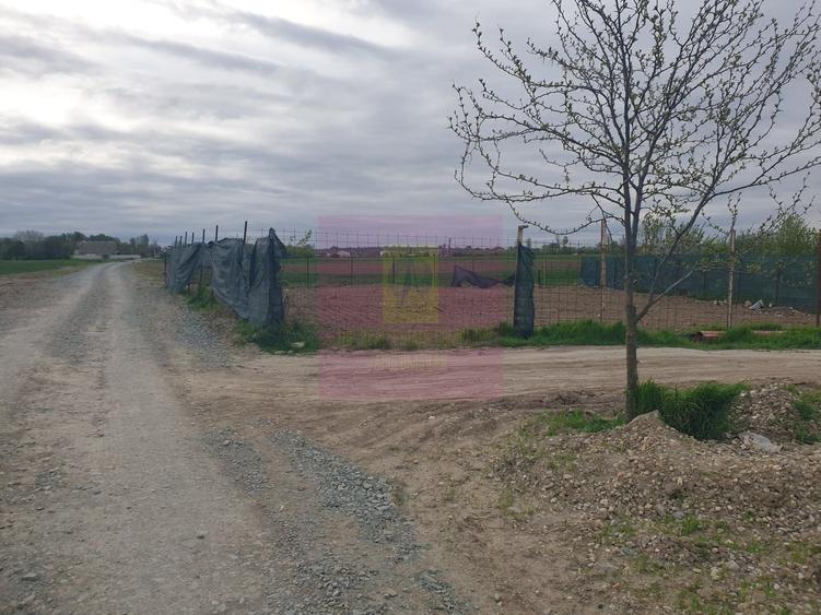 Teren în Măgurele