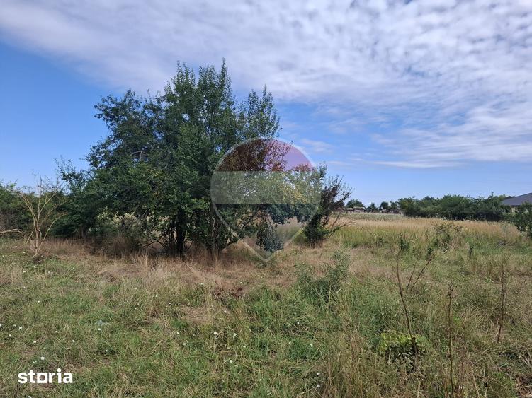 Teren de 28800 mp, în Drăgănescu