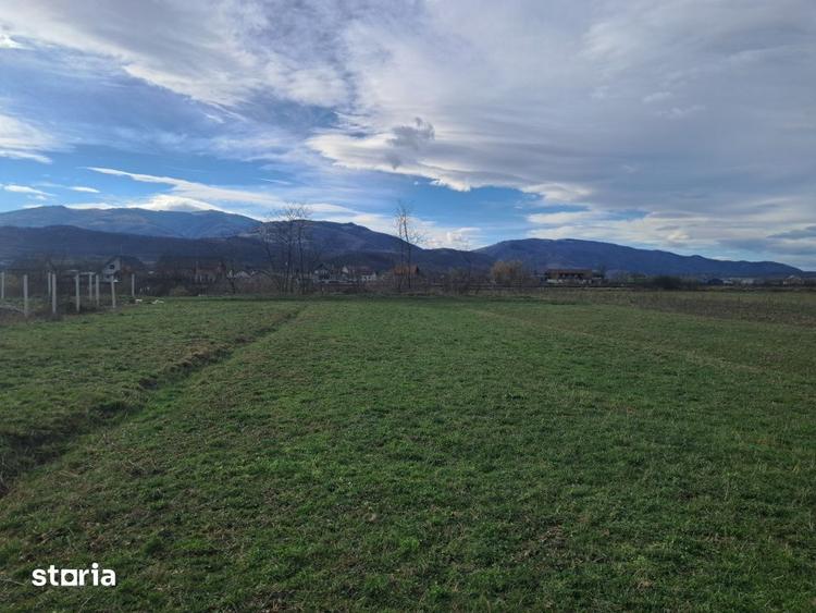 Teren de 500 mp, în Central