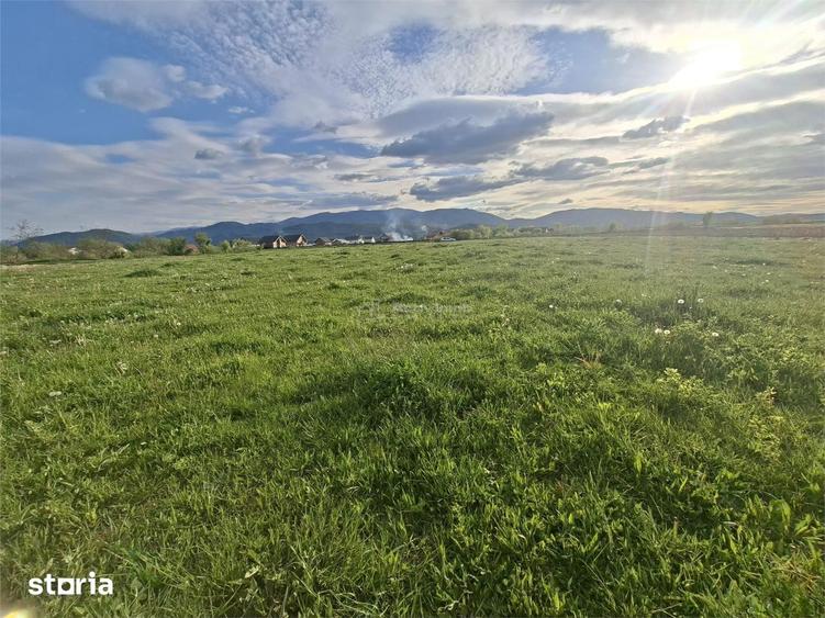 Teren de 923 mp, în Central