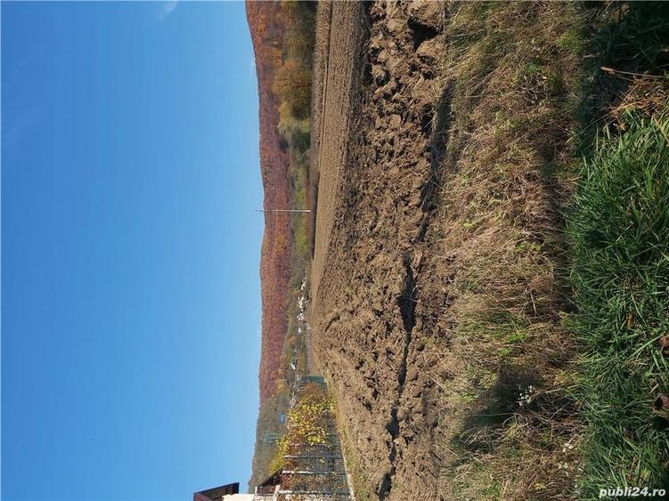 Teren de 2450 mp, în Băiculești