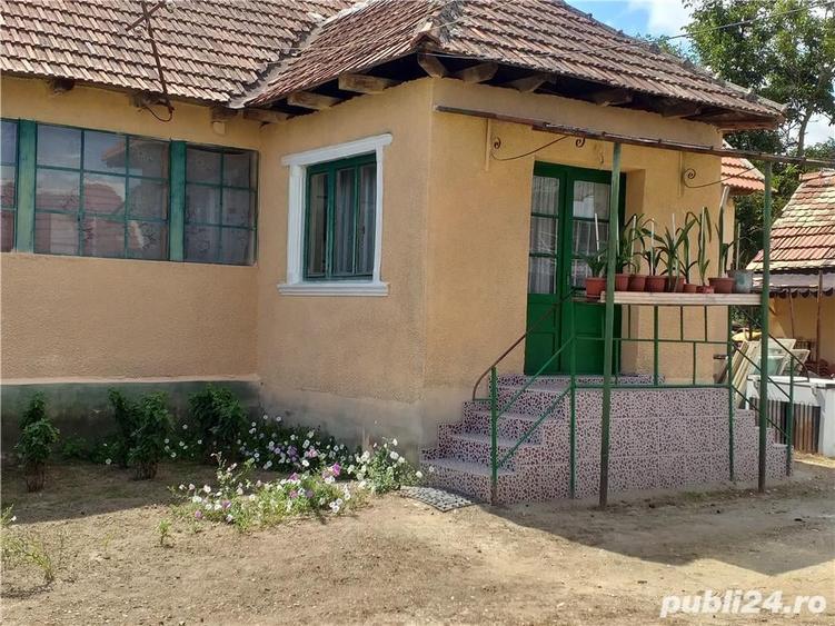 Casă cu 3 camere cu Teren 10000 Mp în Gherteniș
