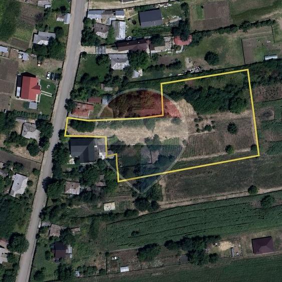 Teren Construcții intravilan de 3725 mp, în Aroneanu