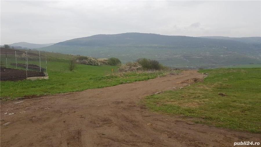 Teren de 3750 mp, în Rădaia
