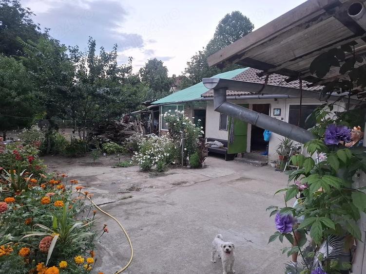 Casă cu 3 camere cu Teren 550 Mp în Central