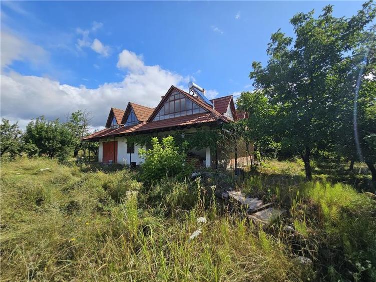 Teren Construcții intravilan de 6650 mp, în Aroneanu