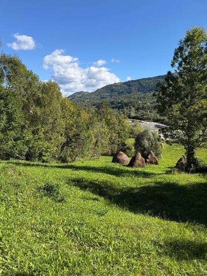 Teren Construcții intravilan de 1847 mp, în Teșila