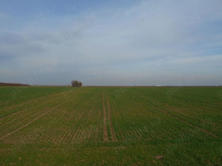 Teren de 12113 mp, în Vidra