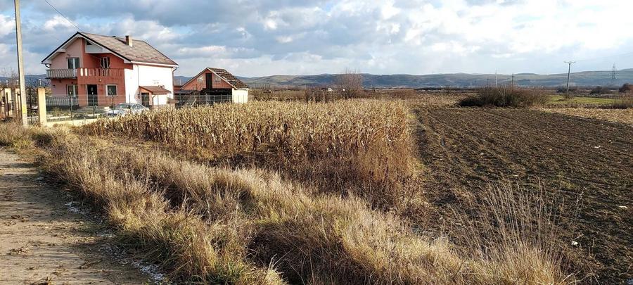 Teren de 750 mp, în Cuzdrioara