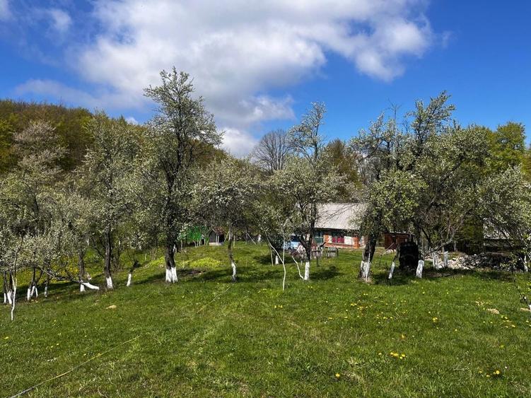 Casă cu 3 camere în Stăncilova
