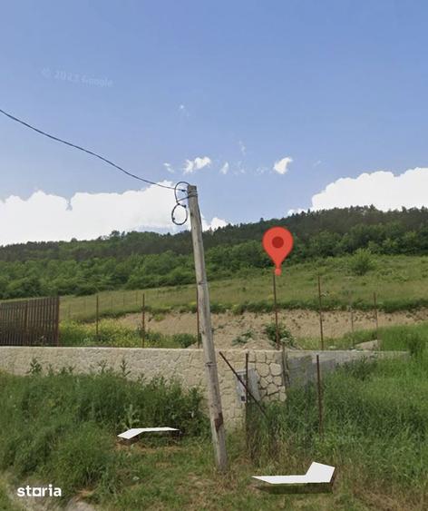 Teren de 5339 mp, în Dăbâca