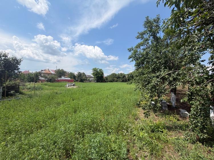 Teren Construcții intravilan de 3899 mp, în Minieri