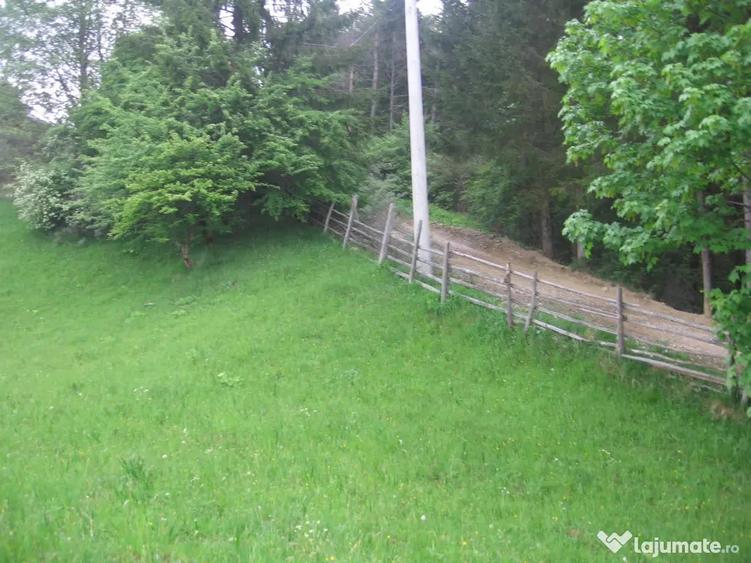 Teren de 4080 mp, în Valea Doftanei