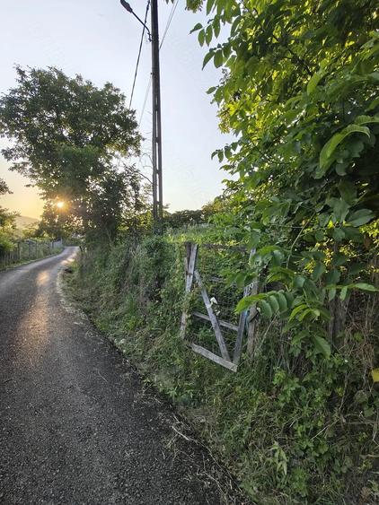 Teren de 600 mp, în Păușești