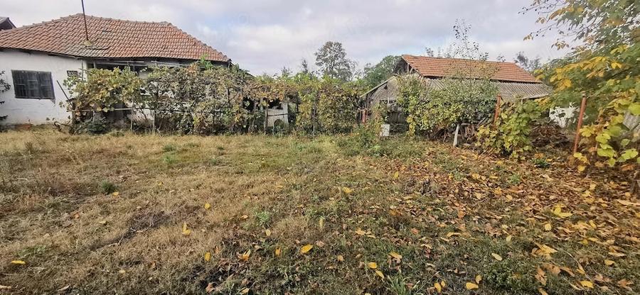 Casă cu Teren 3000 Mp în Tătărăștii de Sus
